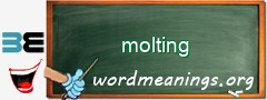 WordMeaning blackboard for molting